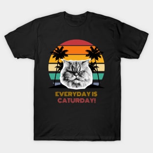 Everyday is Caturday! T-Shirt